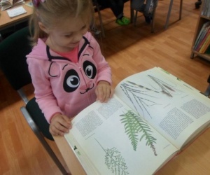 Dziewczynka oglądająca książkę o ziołach