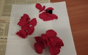 Broszki z foamiranu (06)